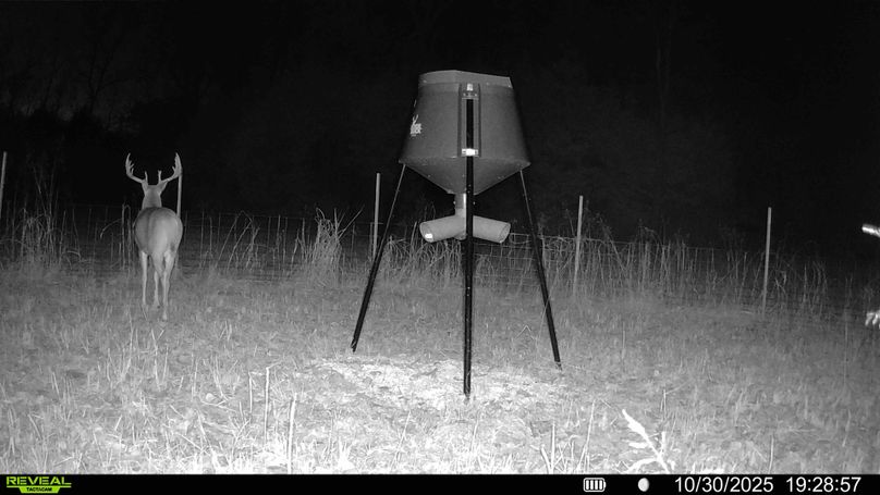 016687000322244-93-4-10302025200418-HD-SYFW03512