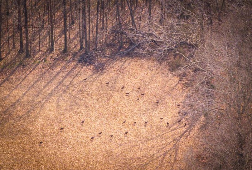 Gibson County Tract 2-14