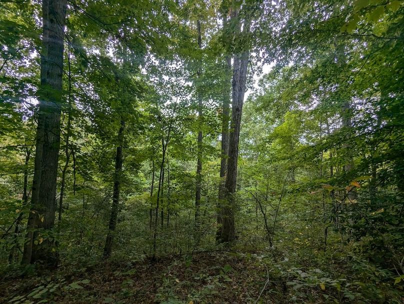 PXL_20240819_150034543