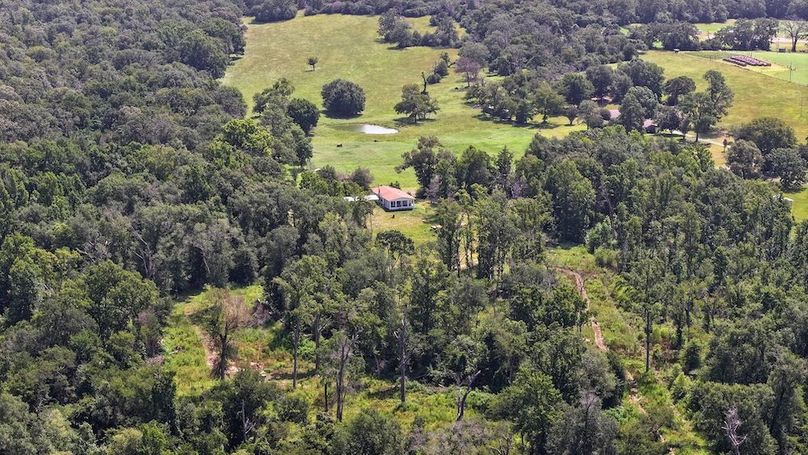 Copy of 86-DJI_20250710115535_0095_D