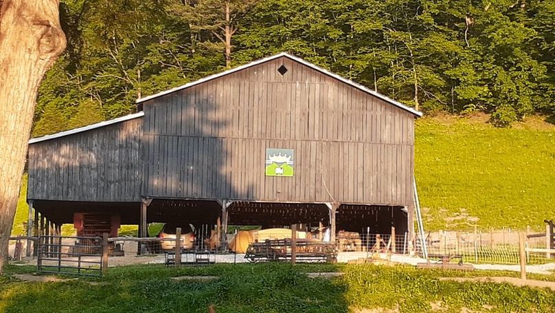 007 the barn as you step out in the morning-2