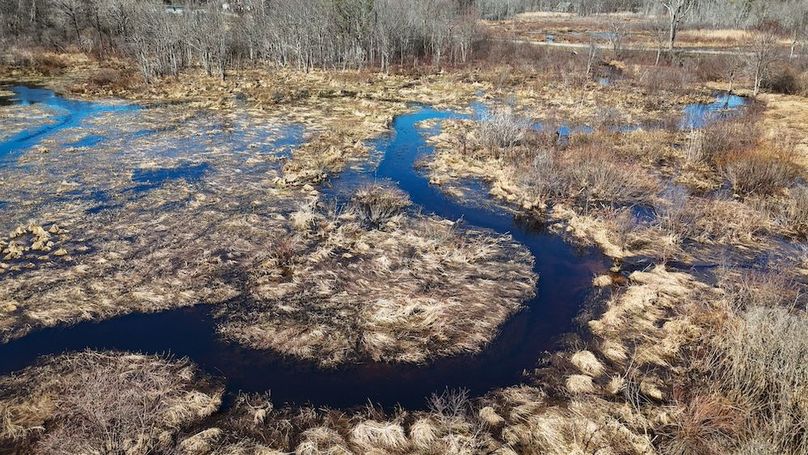 Oswego_8_Cannade_Photos_38