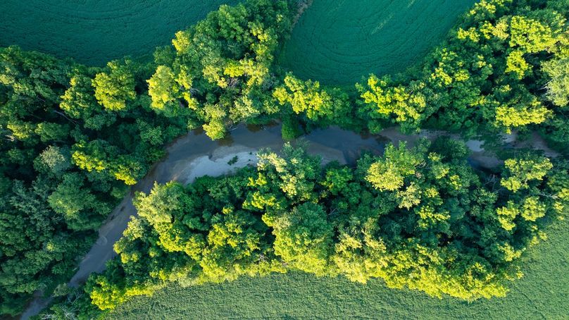 DJI_20250805061752_0024_D