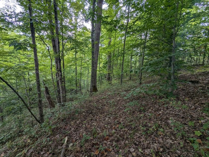 PXL_20240819_150213496