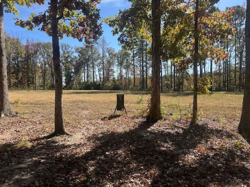 jeff 5020251111_0315