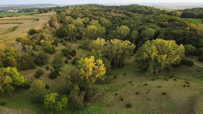 FREMONT CO IA 159.05_85