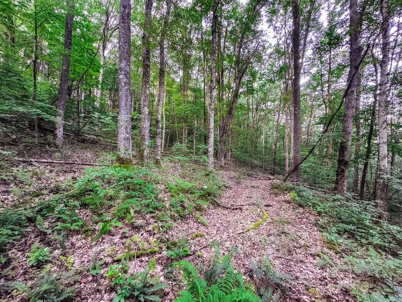 Webster, WV 42 AC Barger-23