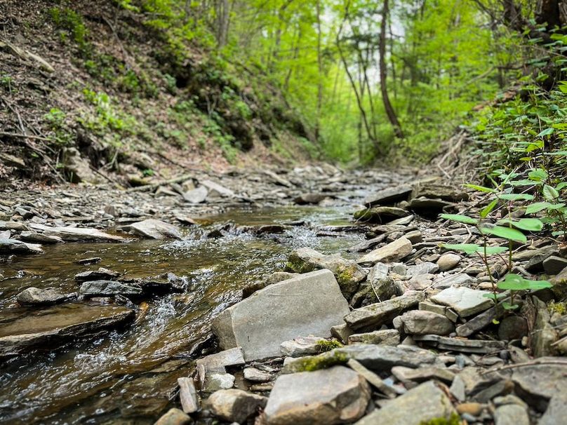 Tioga_78_Biada_Photos_14