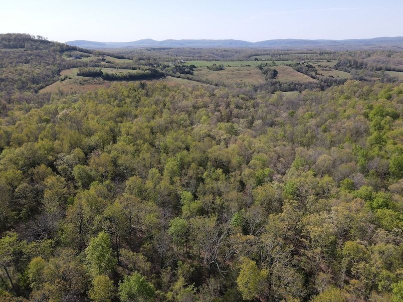 DJI_0323
