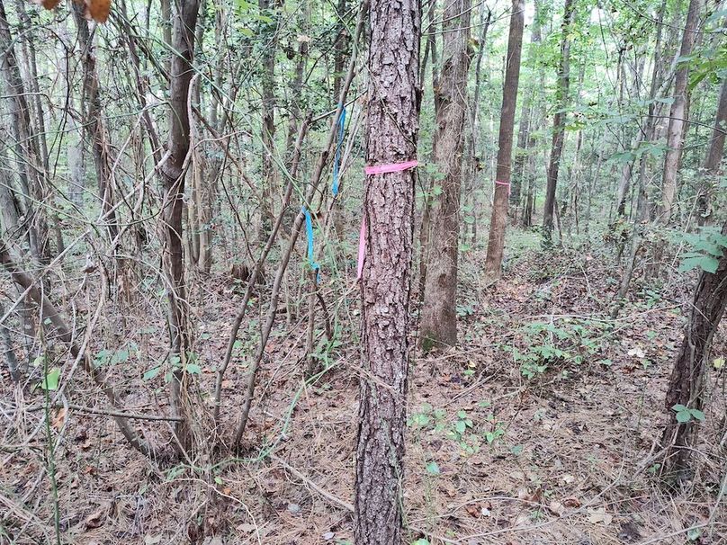 IMG_20250914_151820020