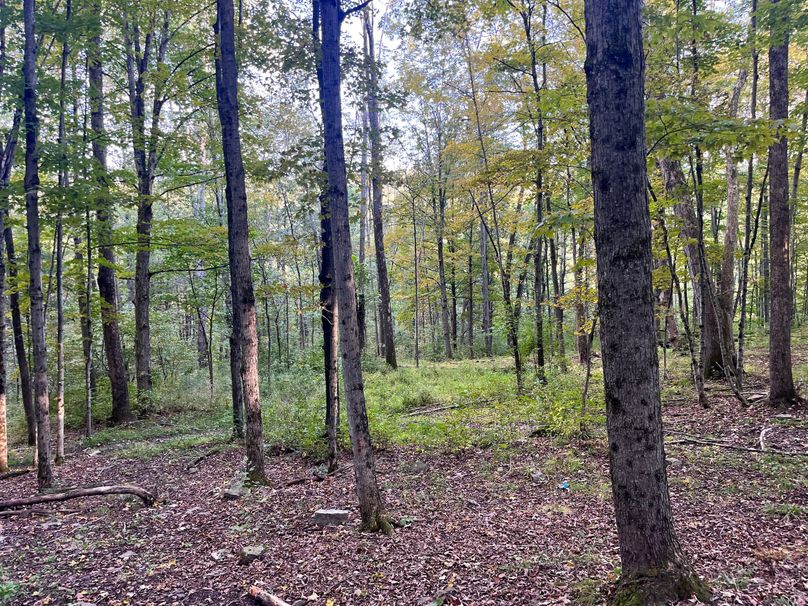 Tioga_20_Peters Photo 26