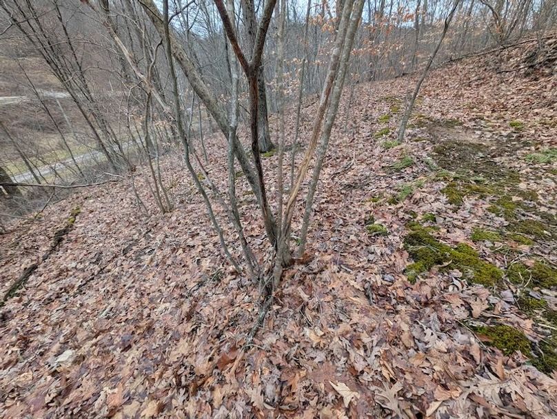 PXL_20260107_212721184