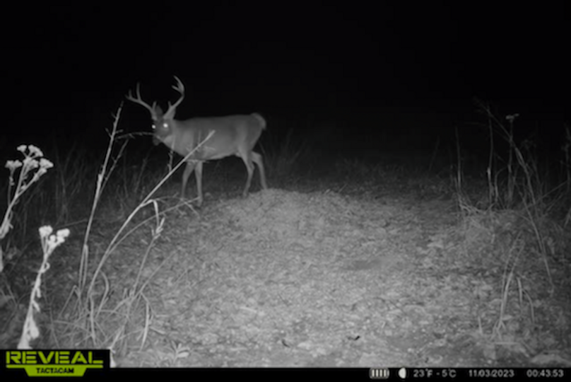 trail cam8