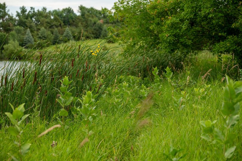 19 along shoreline of lake