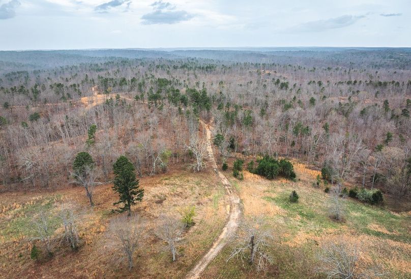 DJI_20250403123615_0590_D