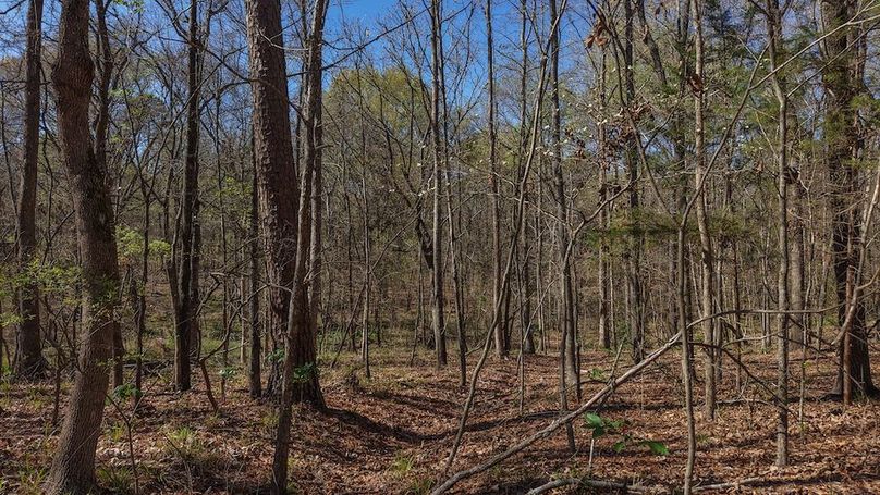 DJI_20260311012609_0045_D