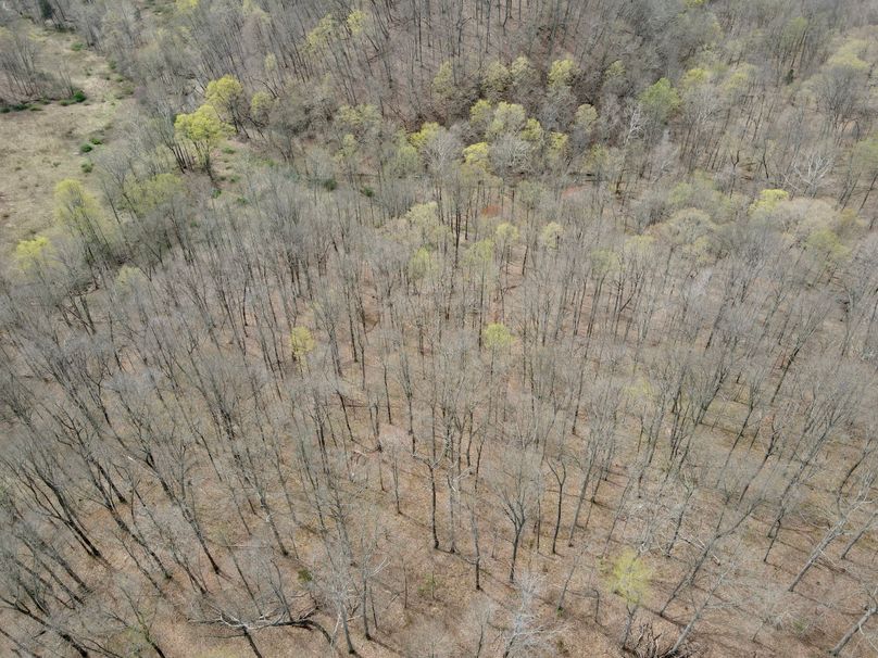 dji_fly_20230407_131132_364_1680887501442_photo