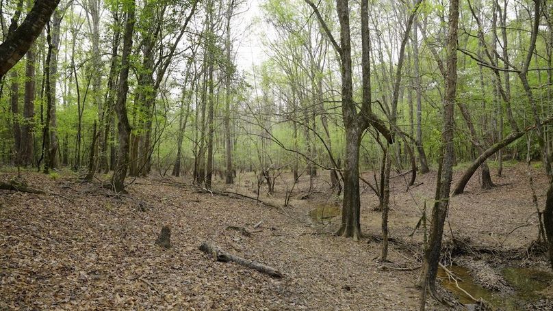 Marion TX 143 and 117 Featured_WEB.00_04_23_03.Still006