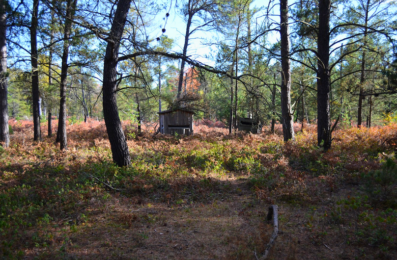 Screenshot 2025-11-14 at 11.36.18 AM