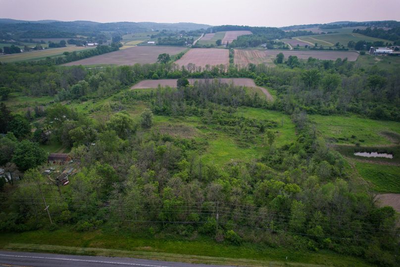 Ontatio_73.3_Green Photo 19