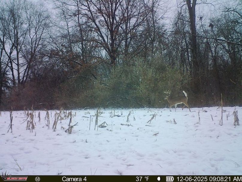 5ECCE47E-E96D-49E3-9607-0DB9D6DE260A