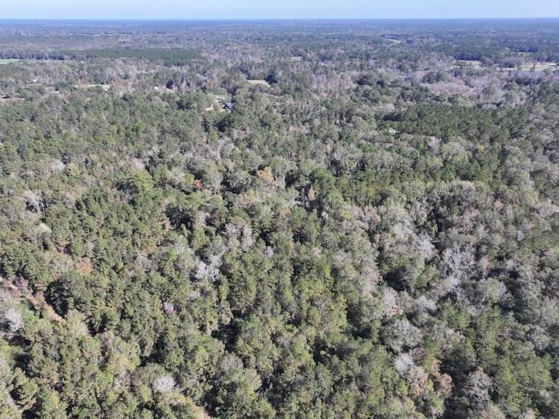 dji_fly_20251209_121648_0757_1765308501373_photo