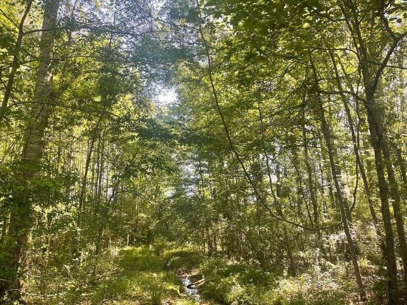 1FA052D1-51C6-4ABD-B0FE-9B23AC2C1226_1_105_c