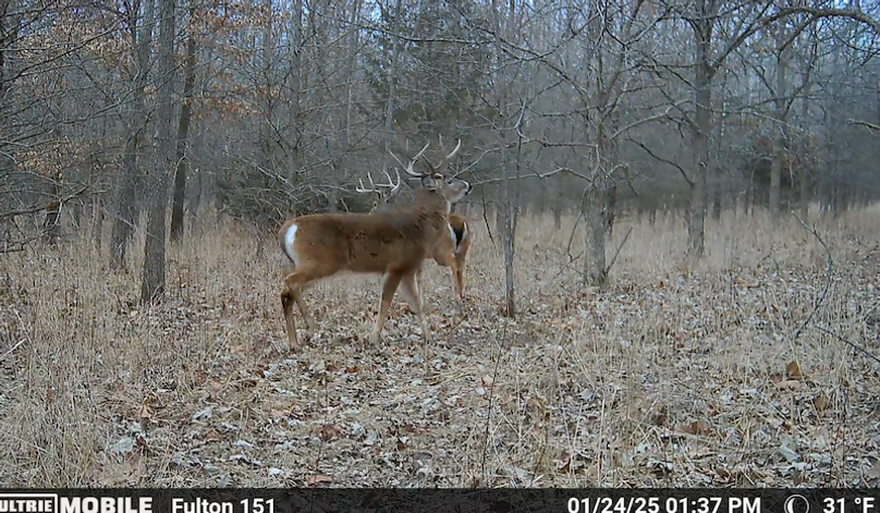 Screen Shot 2025-07-16 at 12.51.43 AM