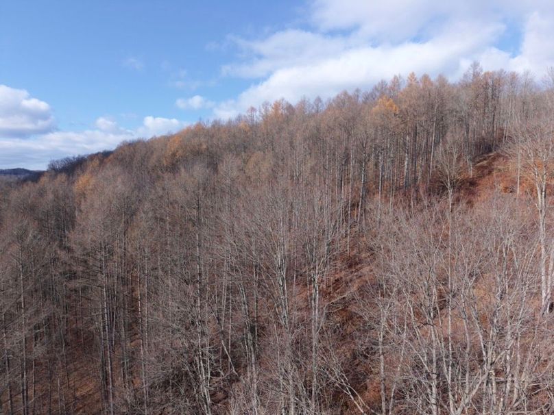 DJI_20251122123821_0091_D