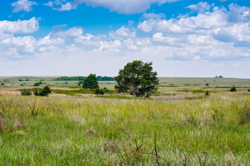 Comanche320_082 copy