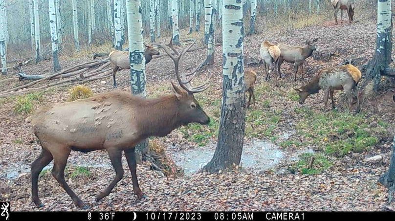 IMG_0043 (2) - frame at 0m3s