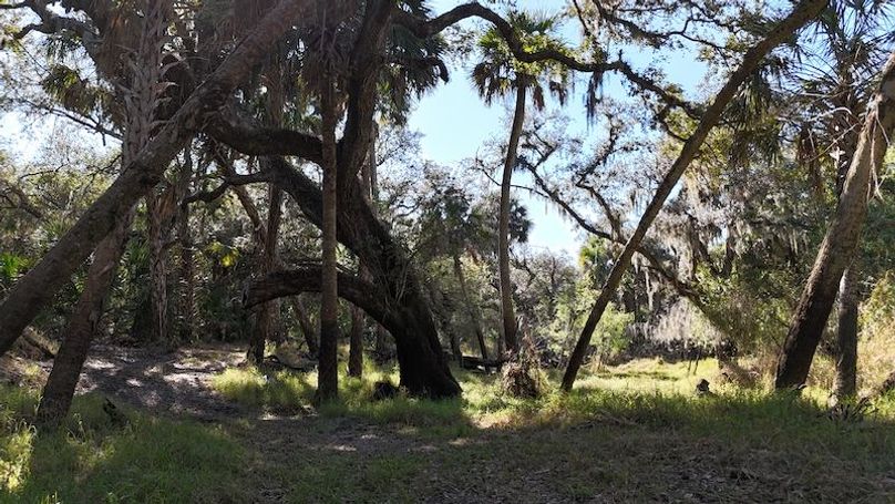 DJI_20260221152430_0363_D