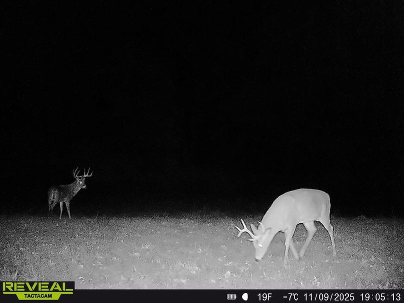 Copy of Trail photos.15