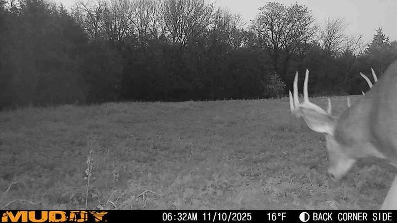 25111006320200001179_ColorizationType.none