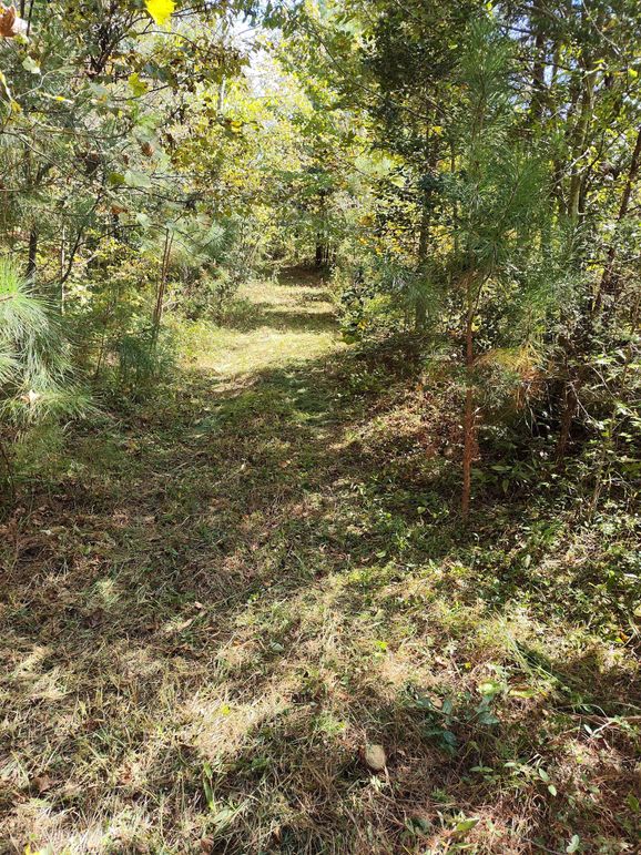 IMG_20231009_132425318