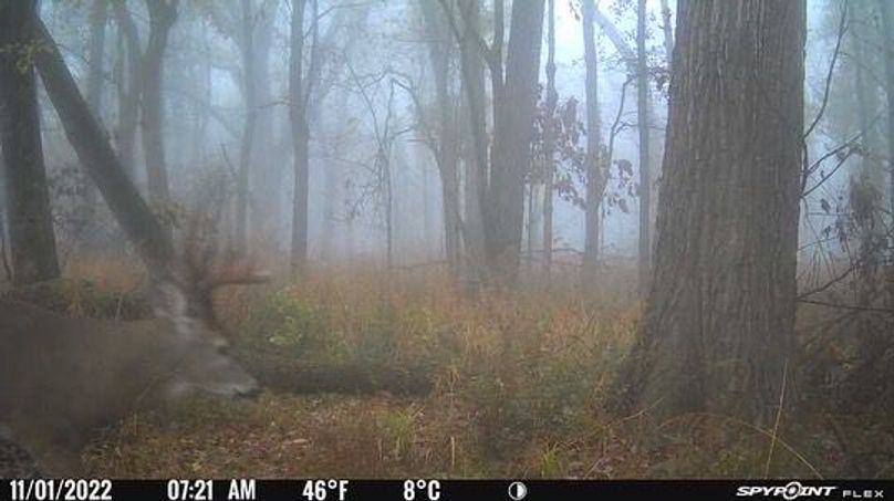 FEC62A63-935B-49AC-AB5F-362AAAAD0817