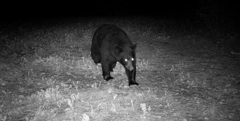 23102519172601000226 (1)