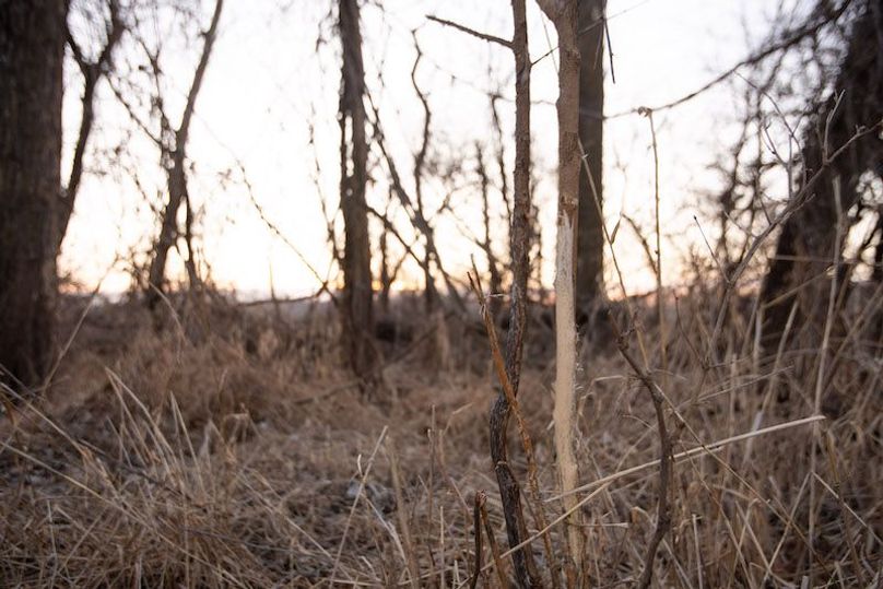 ATCHISON CO MO 56_25