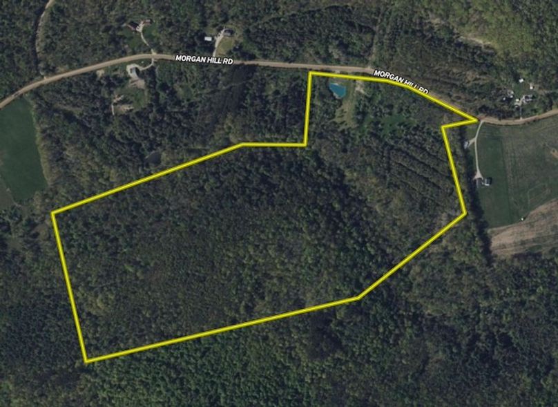 Land ID CLose