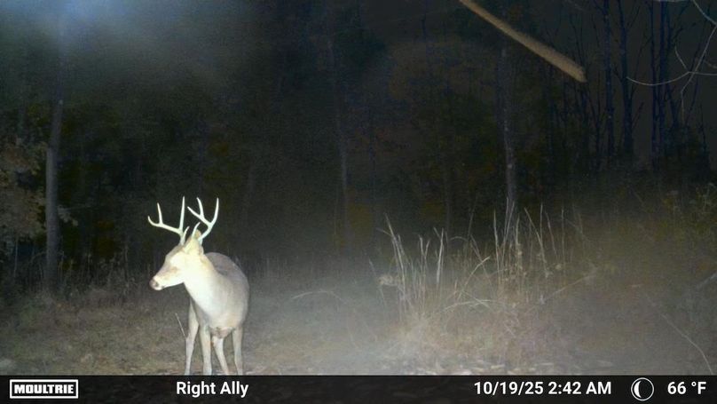 Grayson 48.195 Johnson21