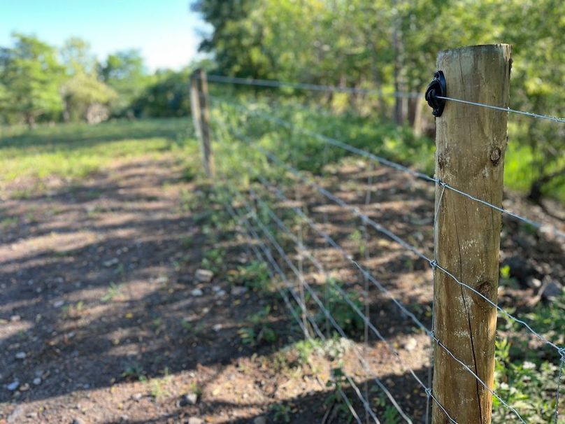 Ontario_19.1_Schmucker_Photos_26