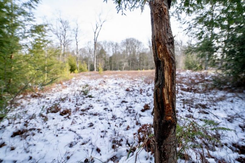 Somerset, 23.59, Keller-60