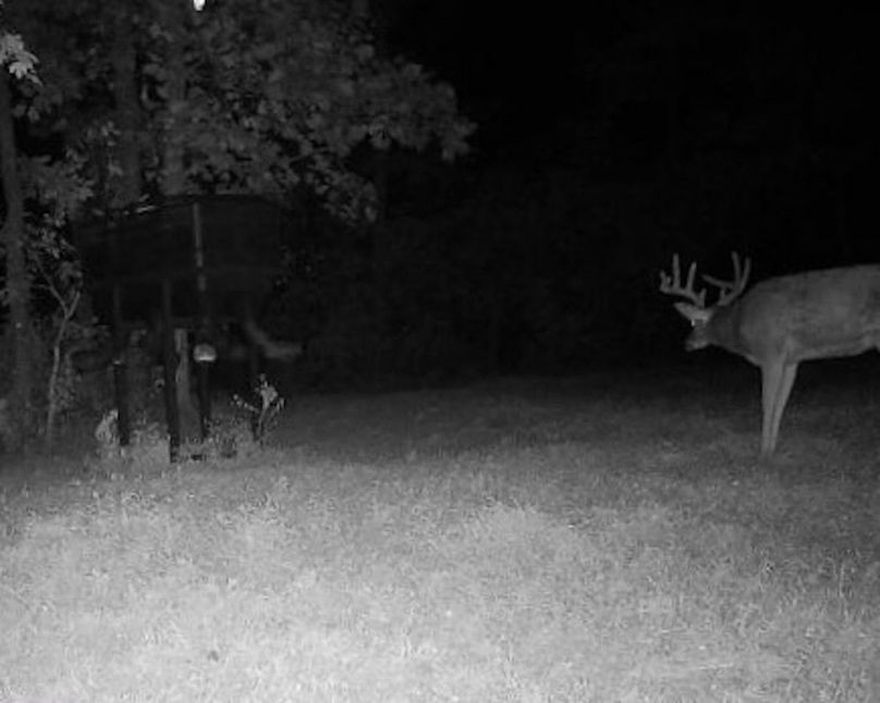 Copy of 865814041040021-60-4-08212024024910-W1002449