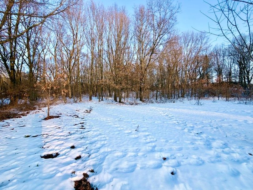 32 4th field looking east