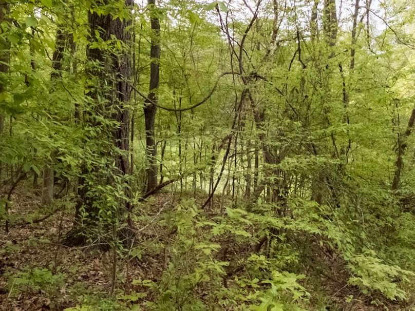 Claiborne Co-314-Fernandez-77