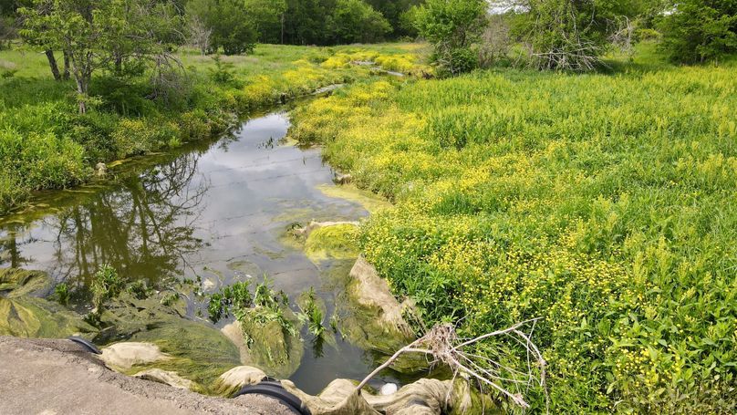 dji_fly_20230428_162144_875_1682716923399_photo