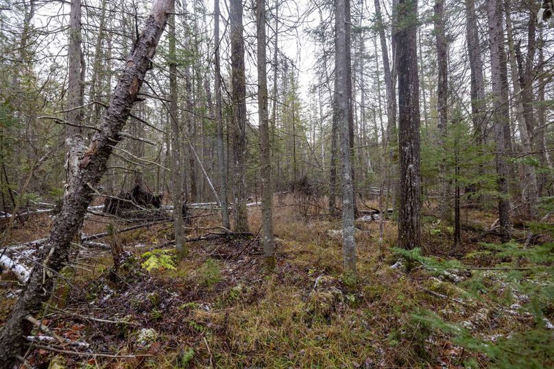 Mackinac 31.5 Noteboom-1678