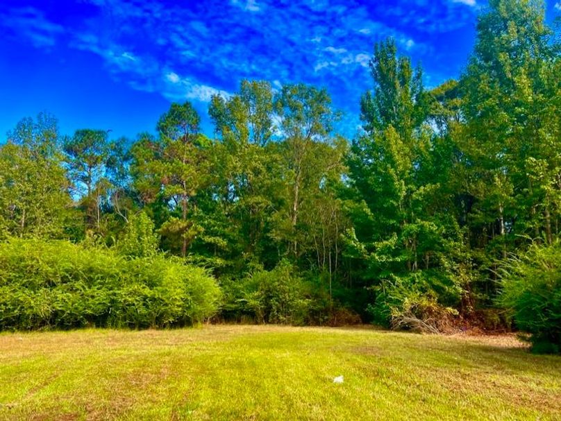 A49B946D-0362-4F70-8F6B-7221133A13AA_1_105_c