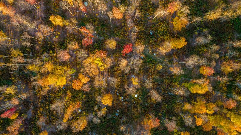 Elk PA 7000 Feature_Pro Photo-174