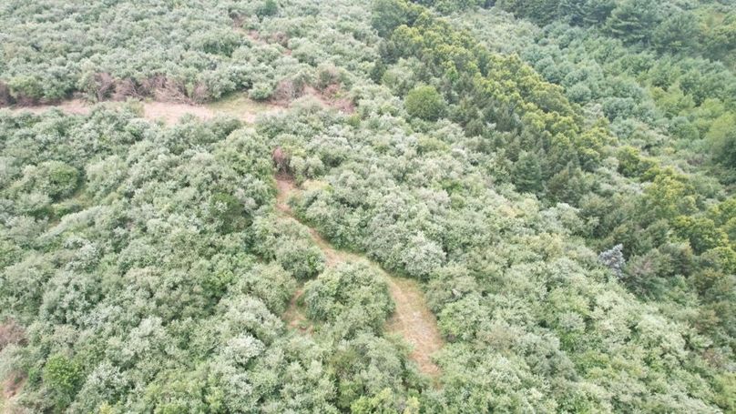 dji_fly_20250806_125402_554_1754499839778_photo